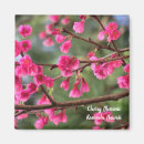 Search for big flower magnets Nature