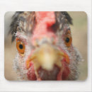 Search for chicken mousepads Birds