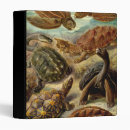 Search for turtle binders Tortoise