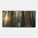 Search for sequoia electronics Travel