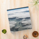 Search for amazon binders Brazil