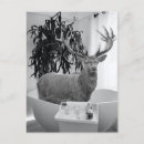 Search for bathroom postcards Tub