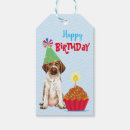 Search for german wirehaired pointer Puppy