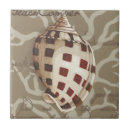 Search for seaside tiles Seashells