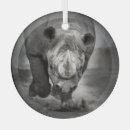 Search for rhinoceros ornaments Nature