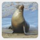 Search for galapagos stickers For kids