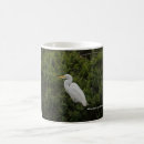 Search for egrets mugs Photography