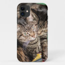 Recherche de vacances de chat électronique Chats