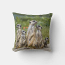 Search for meerkat pillows Nature