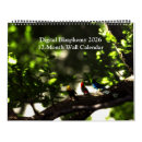 Search for fantasy calendars Sci fi