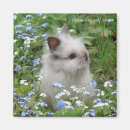 Search for rabbit magnets Adorable