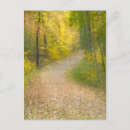 Search for colored leaf postcards Abstract