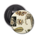 Recherche de tortues ouvre bouteilles Arrière plan