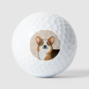 Search for corgi golf balls Cute