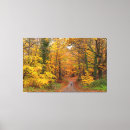 Search for path canvas prints Road