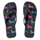 Search for dachshund sandals Cute