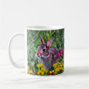 Search for seasoning mugs Rabbit