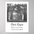 Recherche de arbre de cyprès posters Paysage