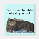 Search for comfortable magnets Cat
