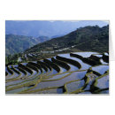 Recherche de yunnan cartes postales Paysage