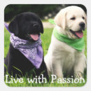 Search for black puppy stickers Yellow