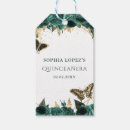 Search for quinceanera tags Butterflies