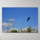 Recherche de hirundo posters Nature