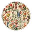 Recherche de fleur rose boutons et poignées de porte Plante