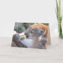 Search for mountain photo cards Cute