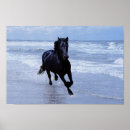 Search for wild horse posters Equestrian