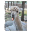 Recherche de carottes carnets Drôle