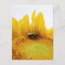 Recherche de abeille heureuse cartes postales Blanc