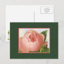 Search for blank antique vintage postcards Roses