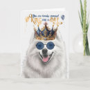 Search for samoyed dog cards Dogs