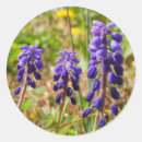 Search for bell flowers stickers Purple