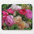 Recherche de rose antique tapis souris Fleur