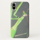 Search for praying mantis electronics Insect