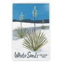 Recherche de yucca Nature