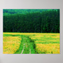 Search for flower fields posters Floral