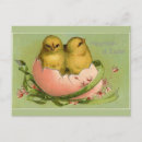 Search for hatching horizontal postcards Cute