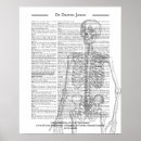 Search for orthopaedic posters Surgeon