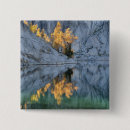 Search for cascade mountain buttons Nature