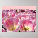 Search for festivity posters Nature