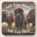 Search for herd coasters Buffalo