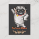 Recherche de chiot de carlin cartes visite Vétérinaire