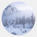 Search for spruce stickers Winter