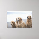 Search for five canvas prints Beach
