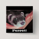 Search for ferret buttons Pet
