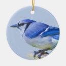 Search for blue jay ornaments Feathers