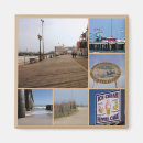 Search for seashell pictures magnets Seashells